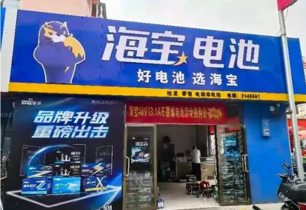国产电机十大名牌永久电动车配什么电池(7)