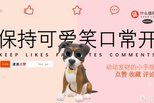 镜框线上买会磨掉防伪码么.
