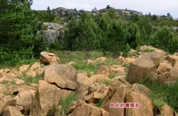 长石石英砂岩属于哪一类岩石(19)