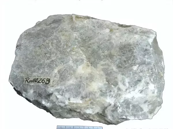 长石石英砂岩属于哪一类岩石(29)