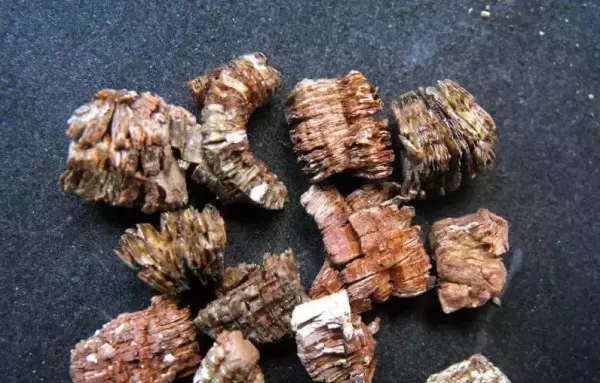 蛭石是什么东西?有什么作用?(3)