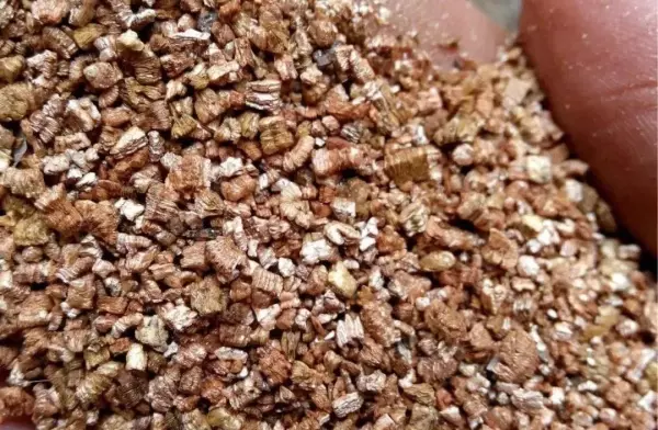 蛭石是什么东西?有什么作用?(9)