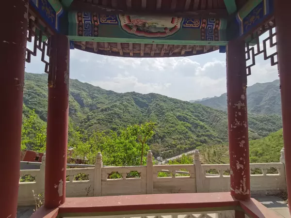 圣莲是什么意思(1)