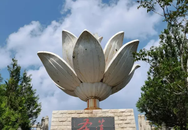圣莲是什么意思(3)