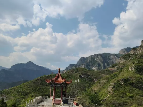 圣莲是什么意思(4)