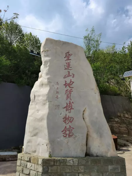 圣莲是什么意思(6)