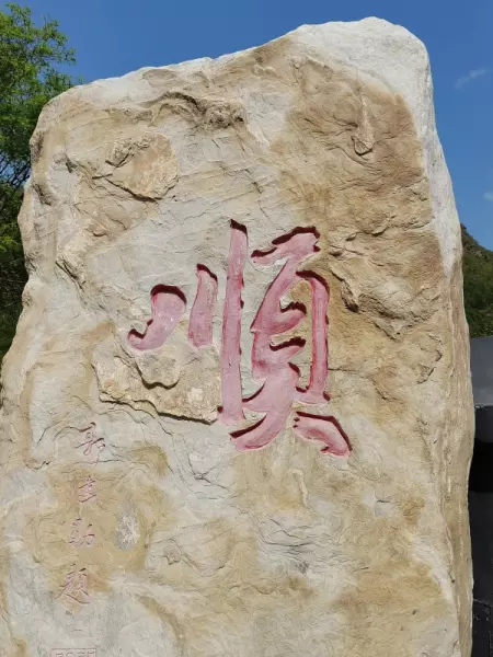 圣莲是什么意思(7)