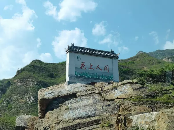 圣莲是什么意思(9)