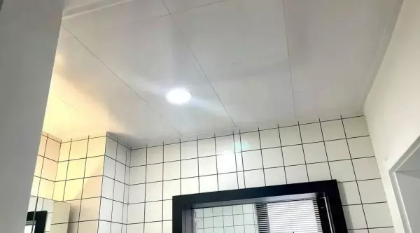 厨卫吊顶用蜂窝大板好还是铝扣板好(4)