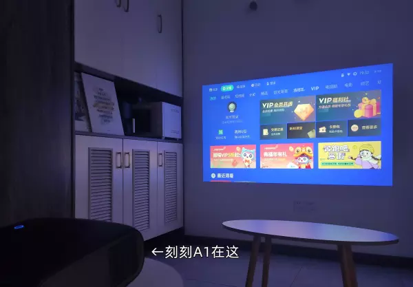 流明芯片属于哪个公司(11)