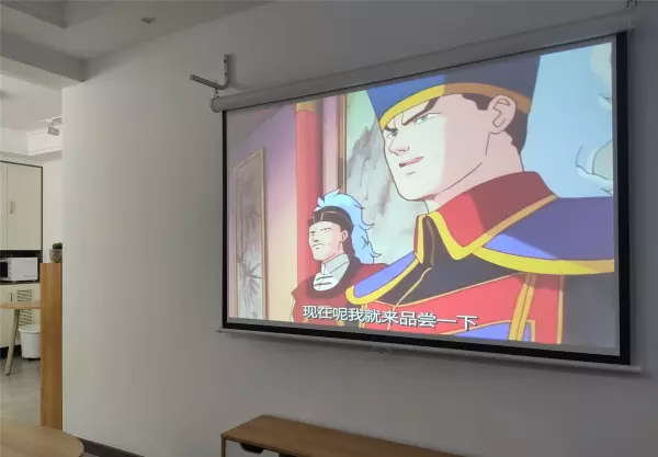 流明芯片属于哪个公司(19)