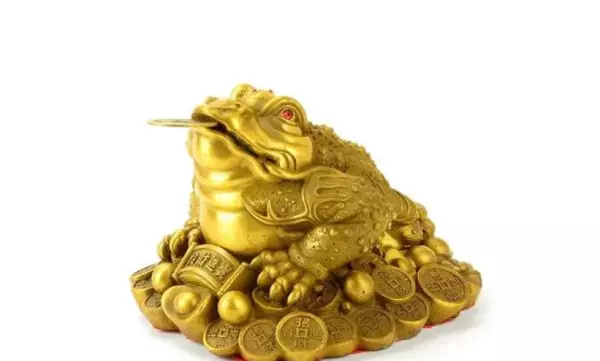 青蛙进屋有什么说法吗(4)
