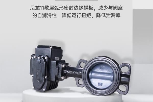 止回阀和截止阀同时使用的作用.