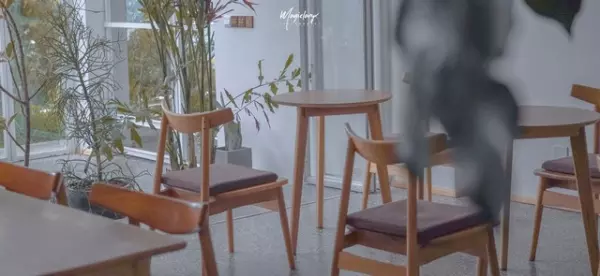 橡胶木家具的优缺点有哪些(13)