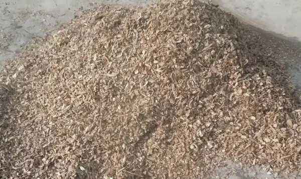 锯末做营养土最快的制作方法(2)