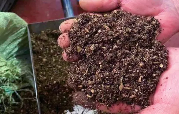 锯末做营养土最快的制作方法(5)