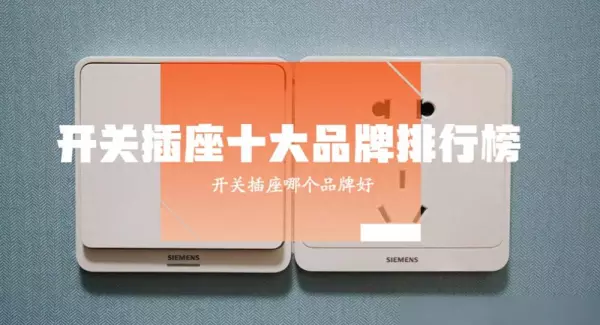 开关面板品牌排行前十名有哪些(6)