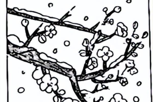 玻璃框指什么这是一幅什么的画.