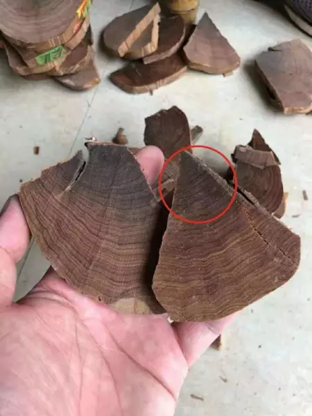 红檀香木与红檀木的区别(11)