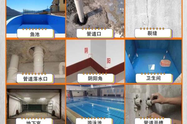 快干水泥和堵漏王有什么区别.
