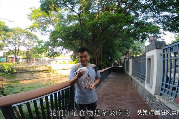 福州别墅楼盘都有哪些.