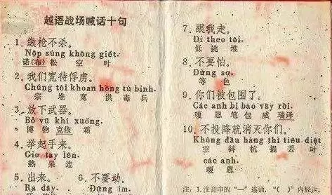 诺松空叶在越南语中是什么含义(2)