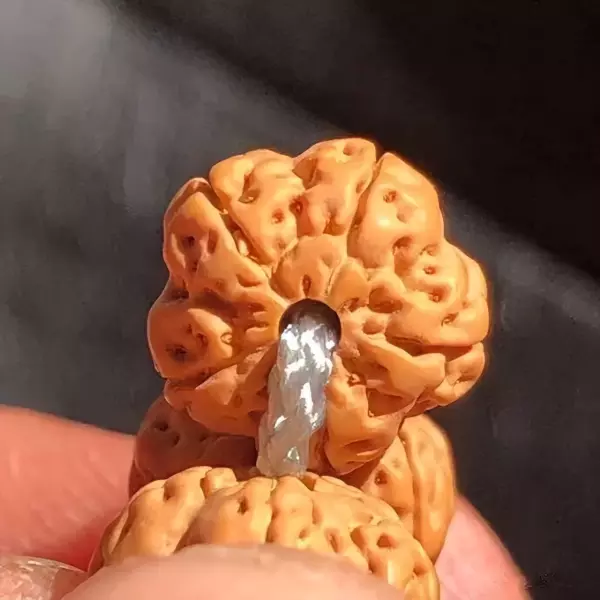 牛货是指什么货(3)