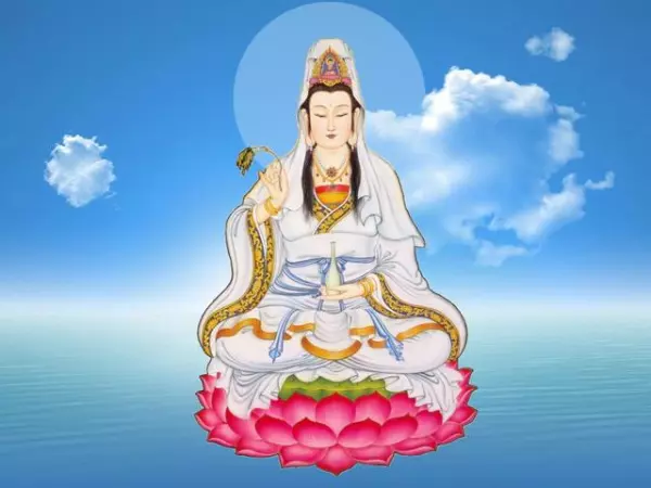 四喜人和品果是一家吗(10)
