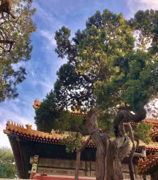 御花园中的堆秀山位于钦安殿的哪个方位(40)