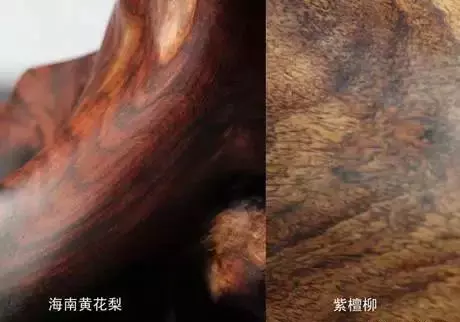 白酸枝和黄花梨的区别(15)
