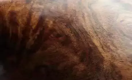 白酸枝和黄花梨的区别(16)
