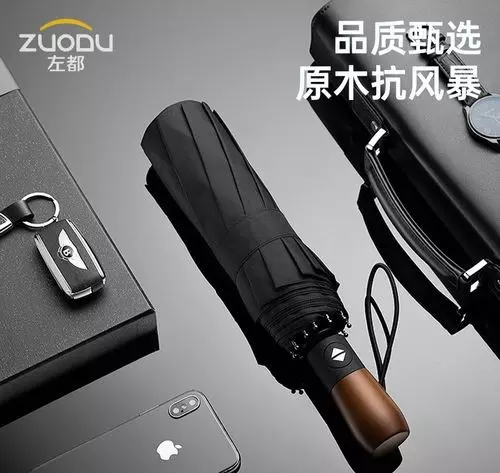 什么品牌的雨伞质量好(17)