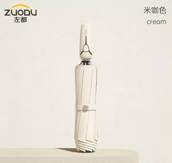 什么品牌的雨伞质量好(18)