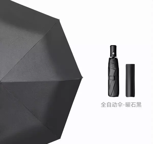 什么品牌的雨伞质量好(19)