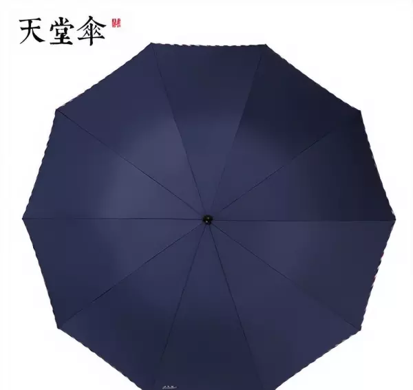 什么品牌的雨伞质量好(4)