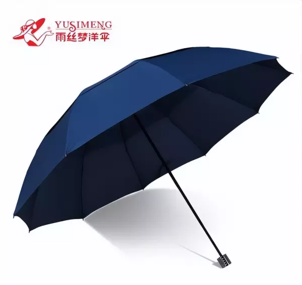 什么品牌的雨伞质量好(9)