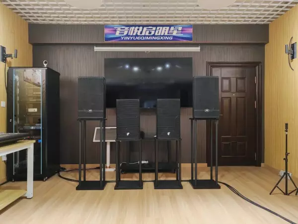 音响怎么制作效果最好(5)