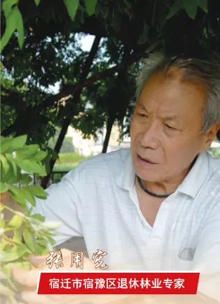 福庆木业陈长富的女儿(9)
