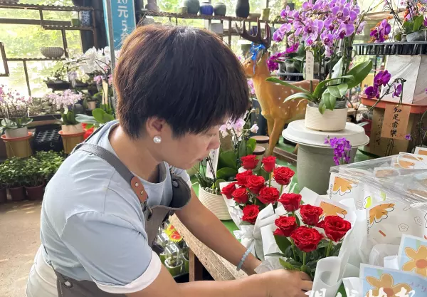 徐州花鸟市场现在在什么地方(1)