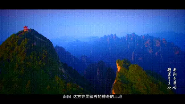 保健枕头里面装什么好(23)