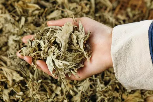 保健枕头里面装什么好(9)