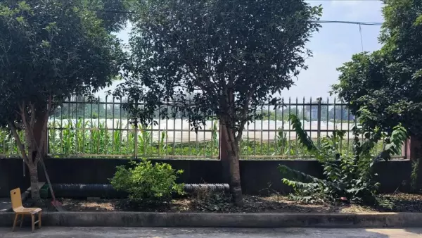 十字绣家和万事兴挂在家里哪个方位最好(7)
