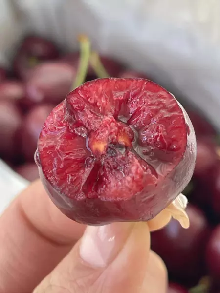 隔角煞是什么意思?能化解吗?(1)
