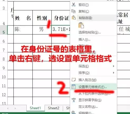 wps电话号码格式1.5E+10怎么改(1)
