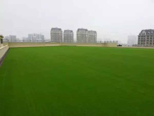 屋顶阁楼怎么样产生经济效应(9)