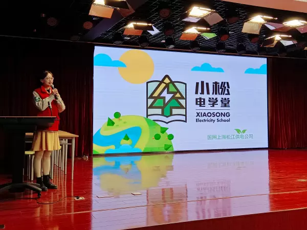 盐水灯泡是将什么转化成电使小灯泡发光的(2)
