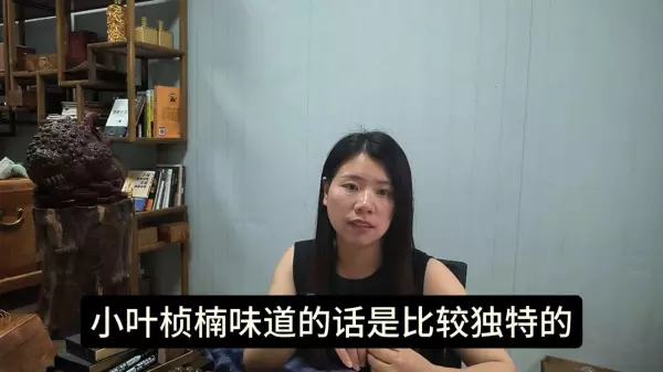 大叶楠和小叶桢楠有什么区别(2)