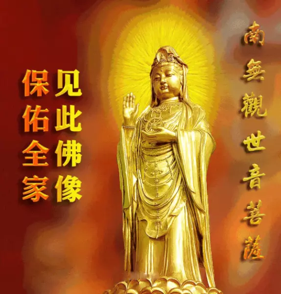 虎都害怕的动物是指什么生肖(6)