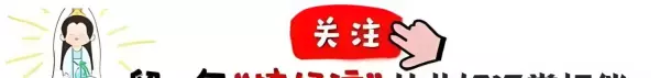虎都害怕的动物是指什么生肖(7)