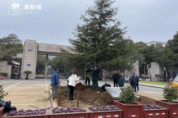 浙江大学cc98论坛在哪里.
